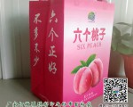 飲料無紡布袋訂制